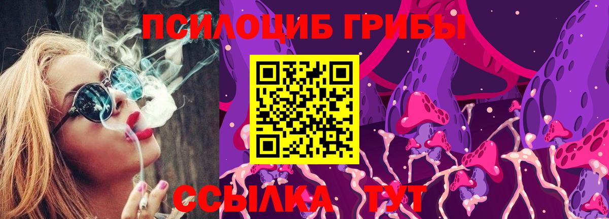 Ярцево  Псилоцибиновые грибы ЛСД  Вход с VPN 